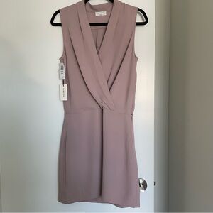 Aritzia Babaton Phoenix Dress